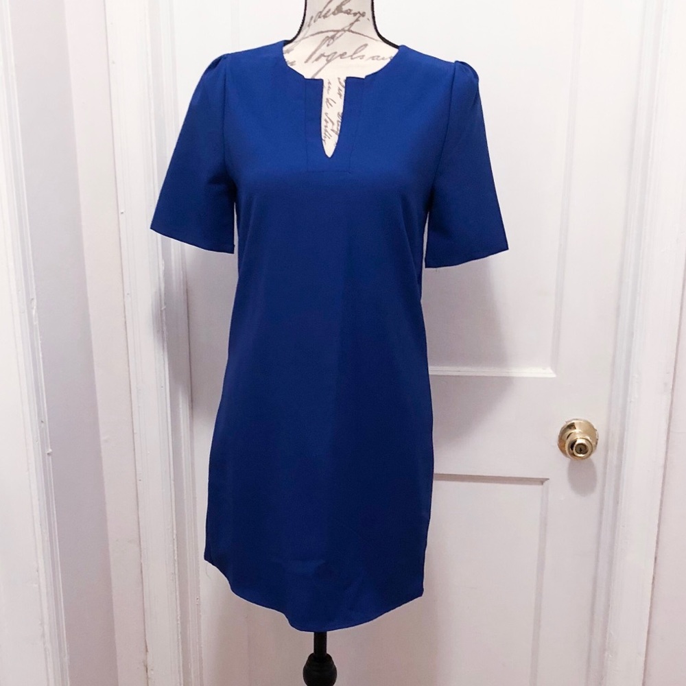 NWOT Blue Sheath Dress